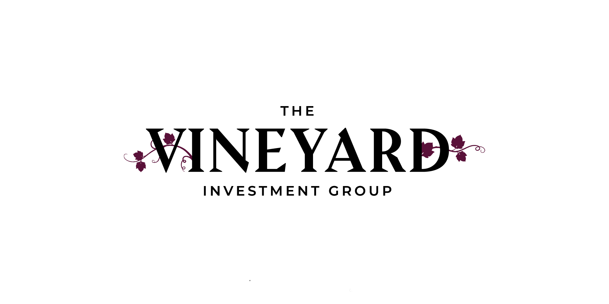 Vineyard Investment Group